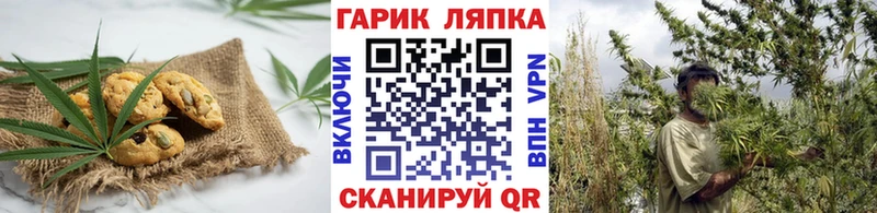 Cannafood конопля  сколько стоит  Полярный 