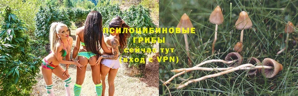 мдпв Нягань