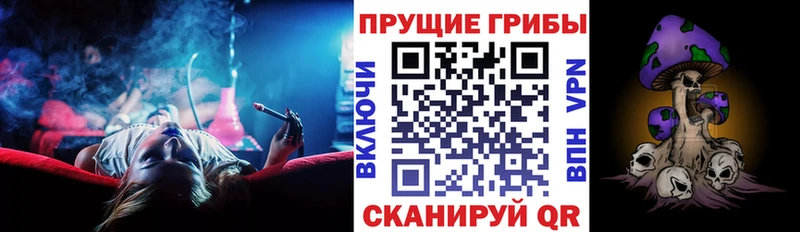 Псилоцибиновые грибы GOLDEN TEACHER хочу наркоту Полярный